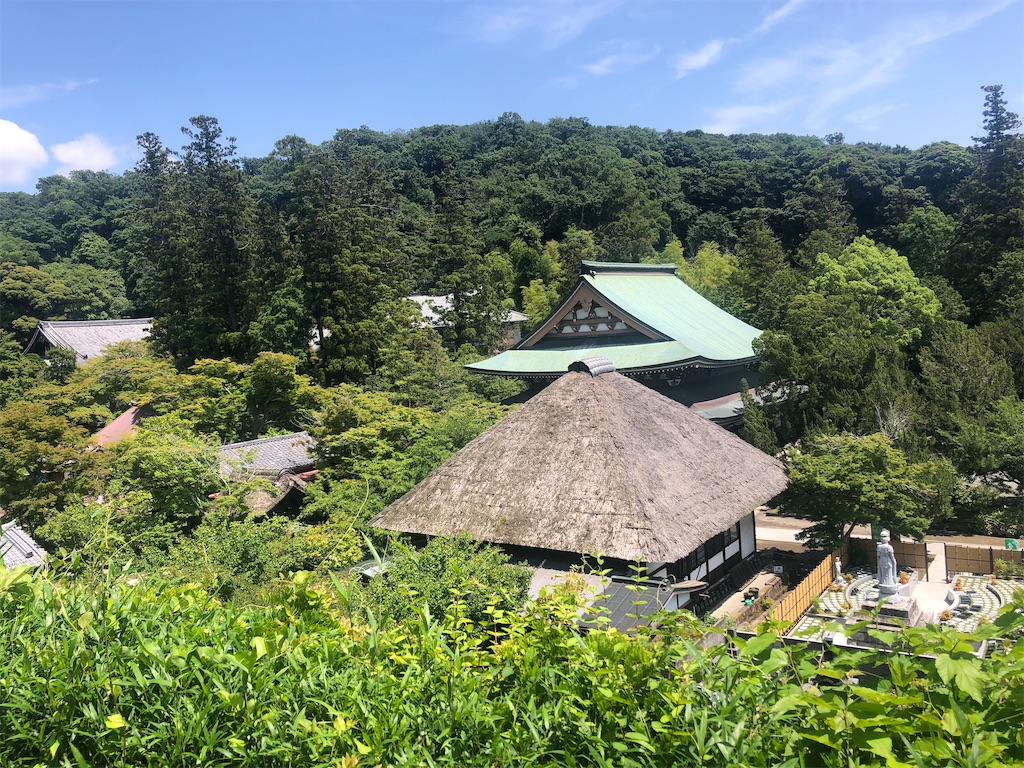 f:id:nflight2014:20250601145113j:image