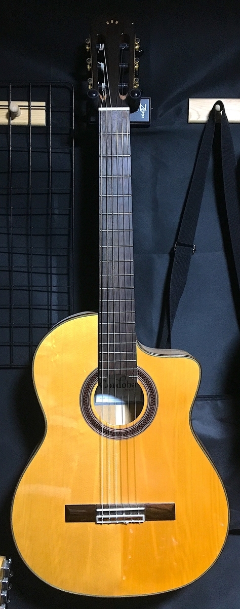 専用ケース付きGipsy Kings GK Studio エレガット 専用ケース付きGipsy Kings GK Studio エレガット GK Studio