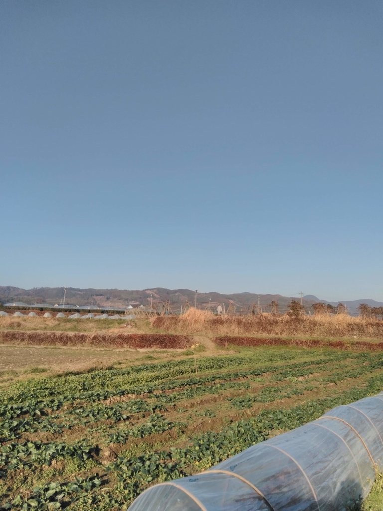 f:id:ng532ga216:20190203162938j:plain f:id:ng532ga216:20190203162938j:plain