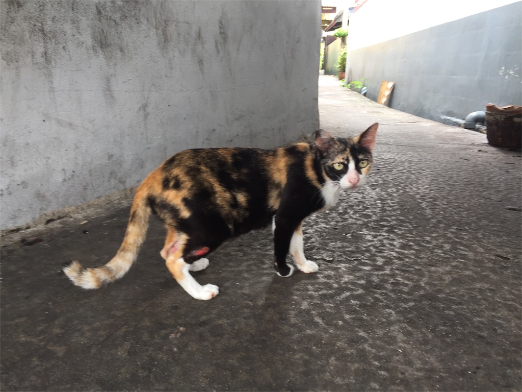 f:id:ngcmw93:20170910181729j:image