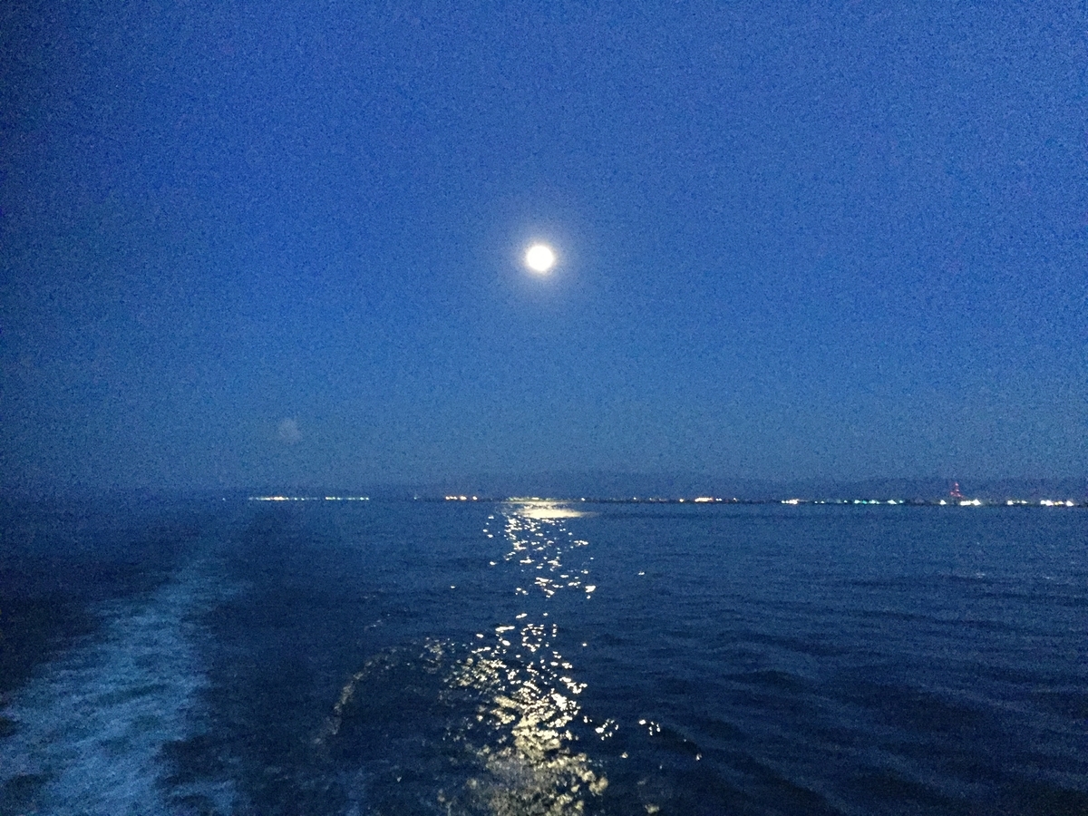 f:id:ngcmw93:20191110170337j:plain