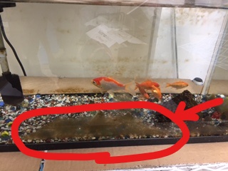 f:id:nge0068:20170517220257j:plain