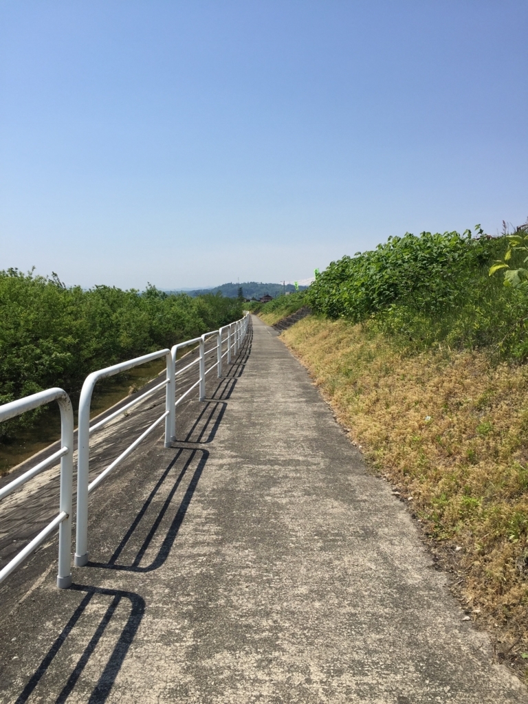 f:id:nge0068:20170601173904j:plain