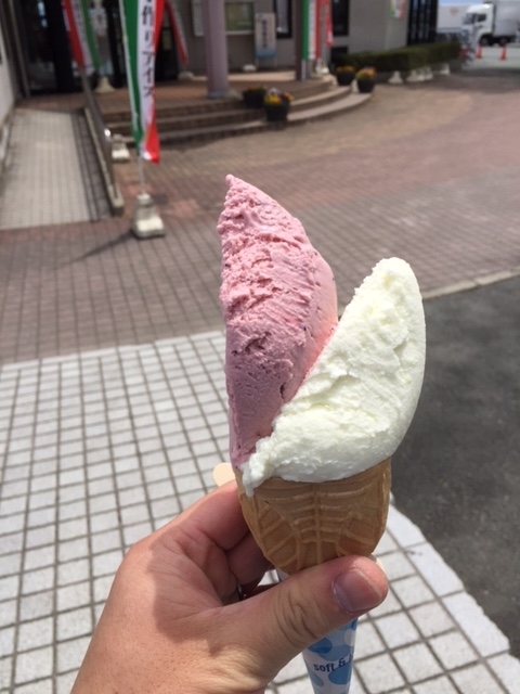 f:id:nge0068:20170601205307j:plain