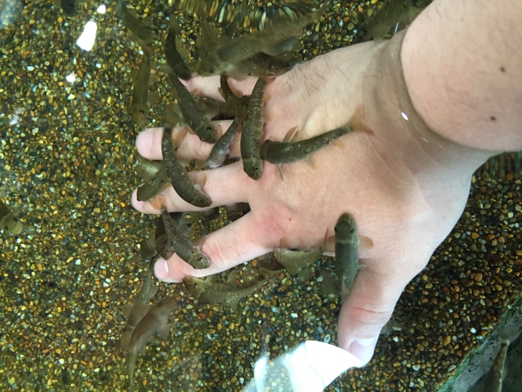 f:id:nge0068:20180514114244j:plain