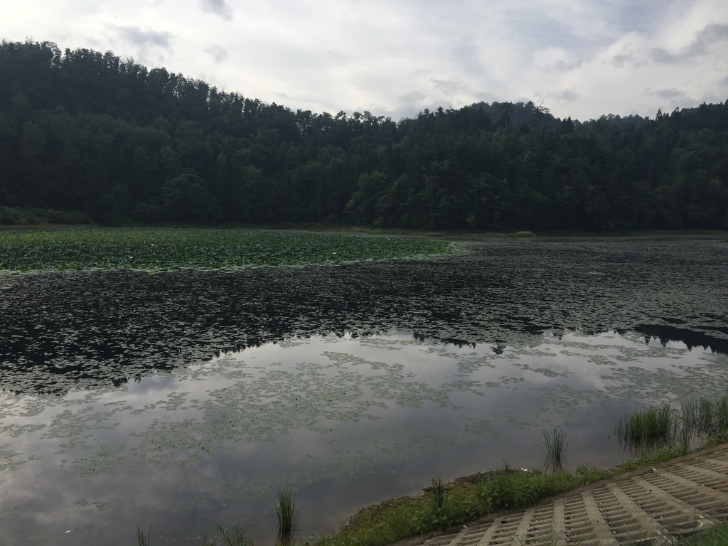 f:id:nge0068:20180913152425j:plain