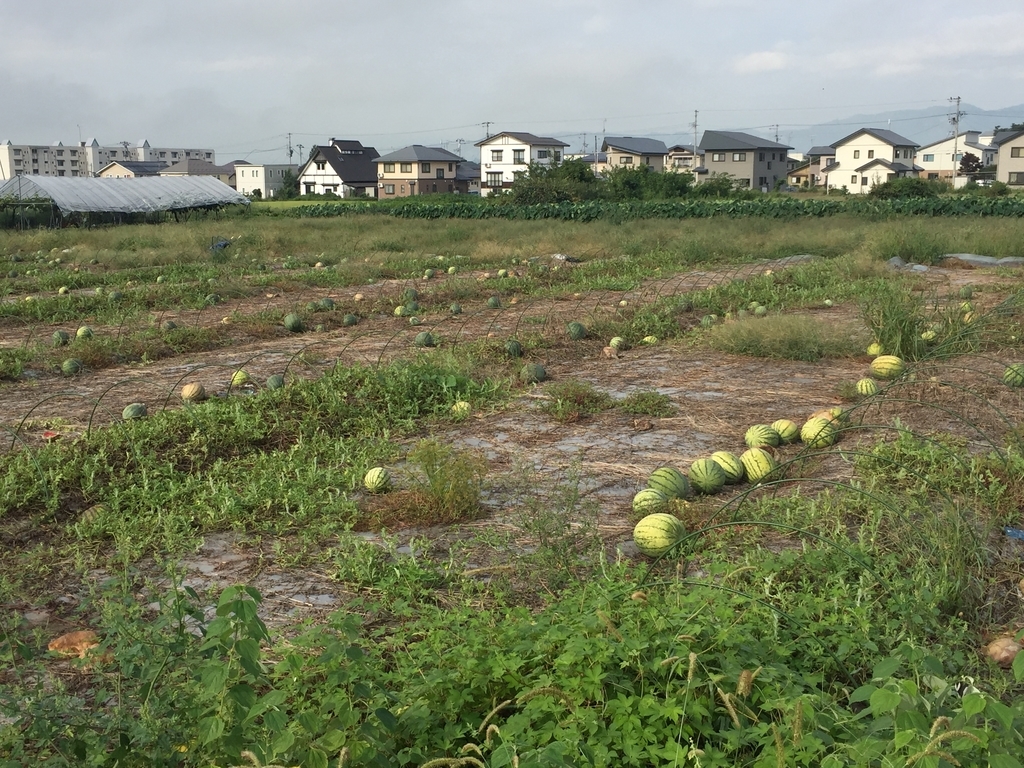 f:id:nge0068:20180913152745j:plain