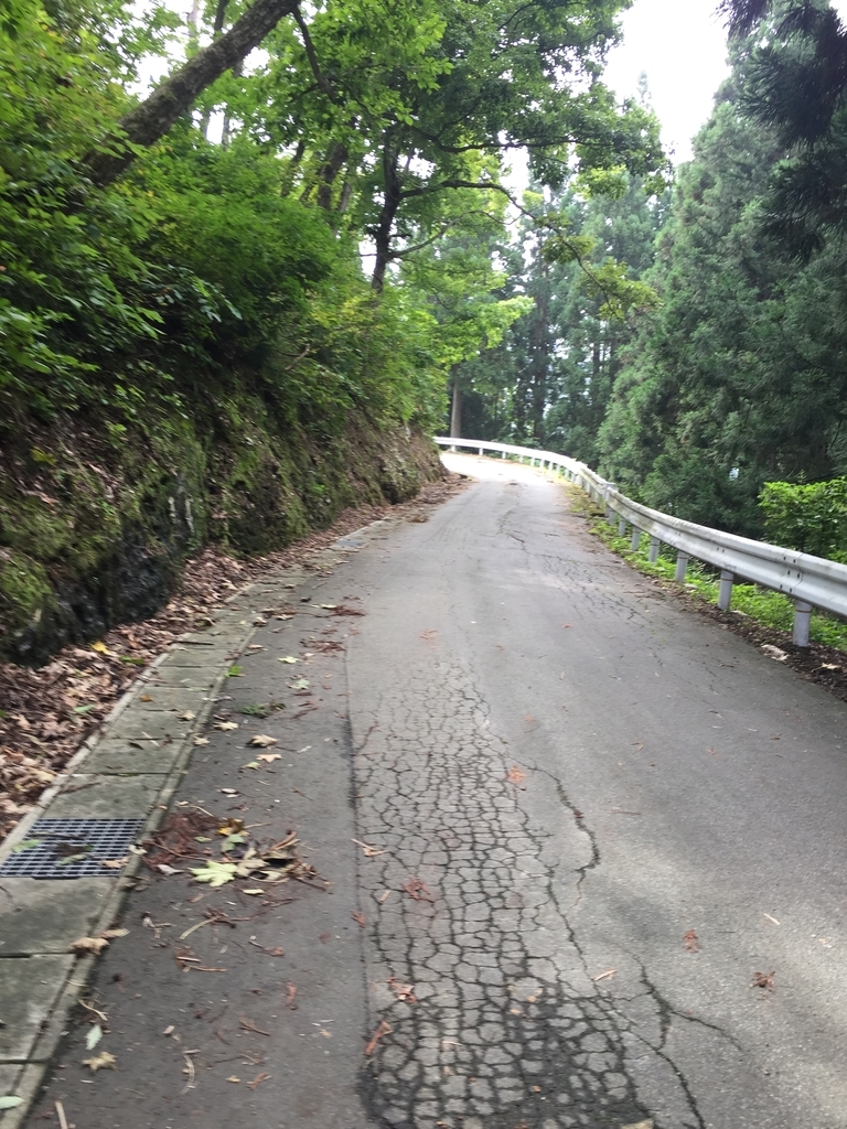 f:id:nge0068:20180913154157j:plain