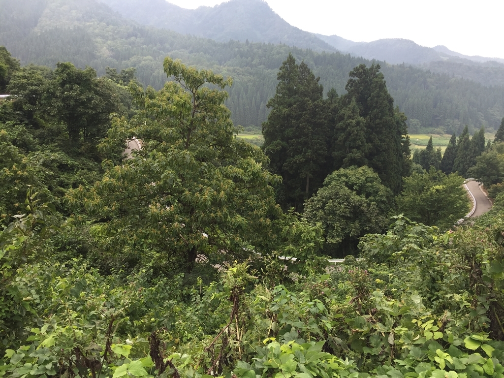 f:id:nge0068:20180913154341j:plain