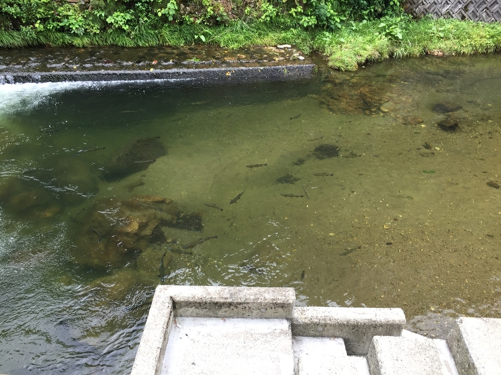 f:id:nge0068:20180913162729j:plain