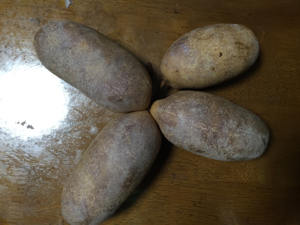 f:id:nge0068:20181001202727j:plain