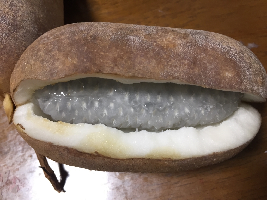 f:id:nge0068:20181001202810j:plain