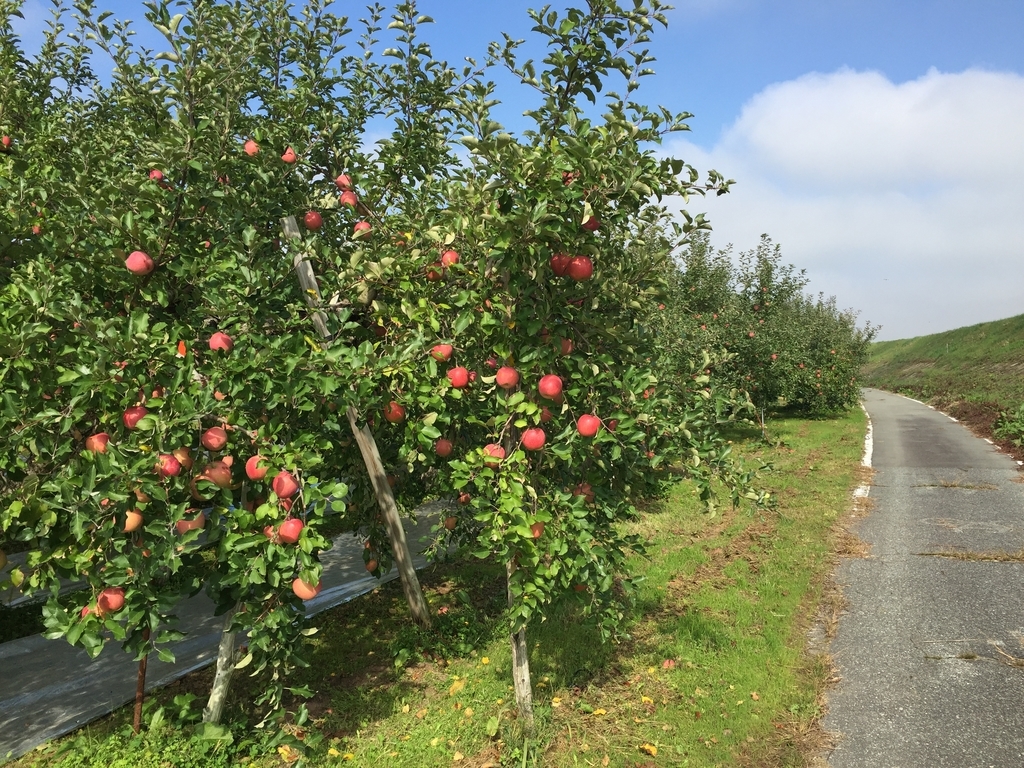 f:id:nge0068:20181019102700j:plain