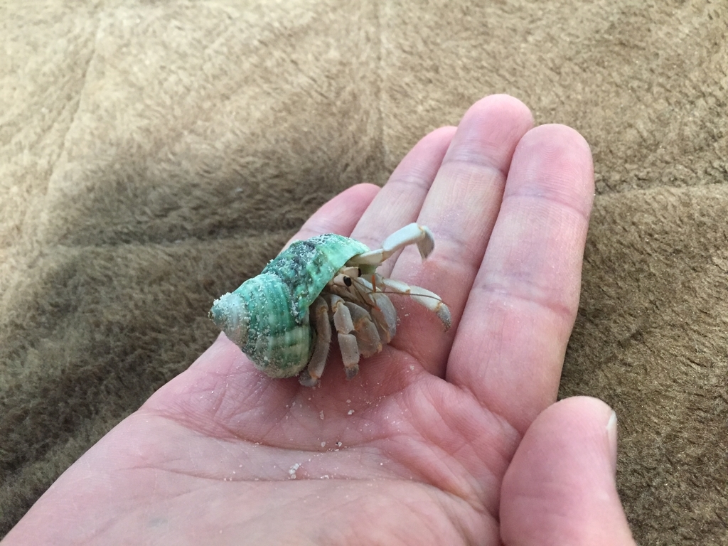 f:id:nge0068:20181123201600j:plain