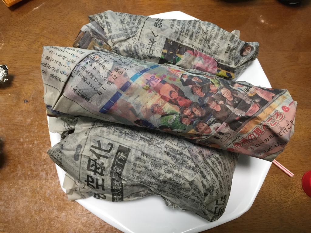 f:id:nge0068:20181223192107j:plain