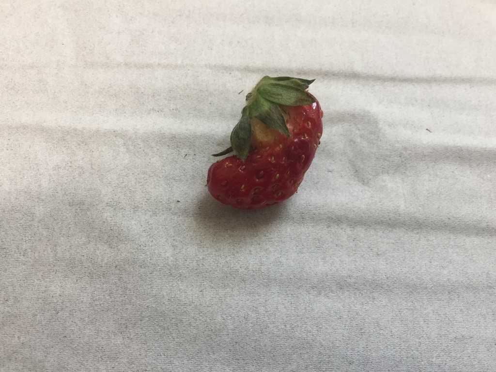 f:id:nge0068:20190221085308j:plain f:id:nge0068:20190221085308j:plain