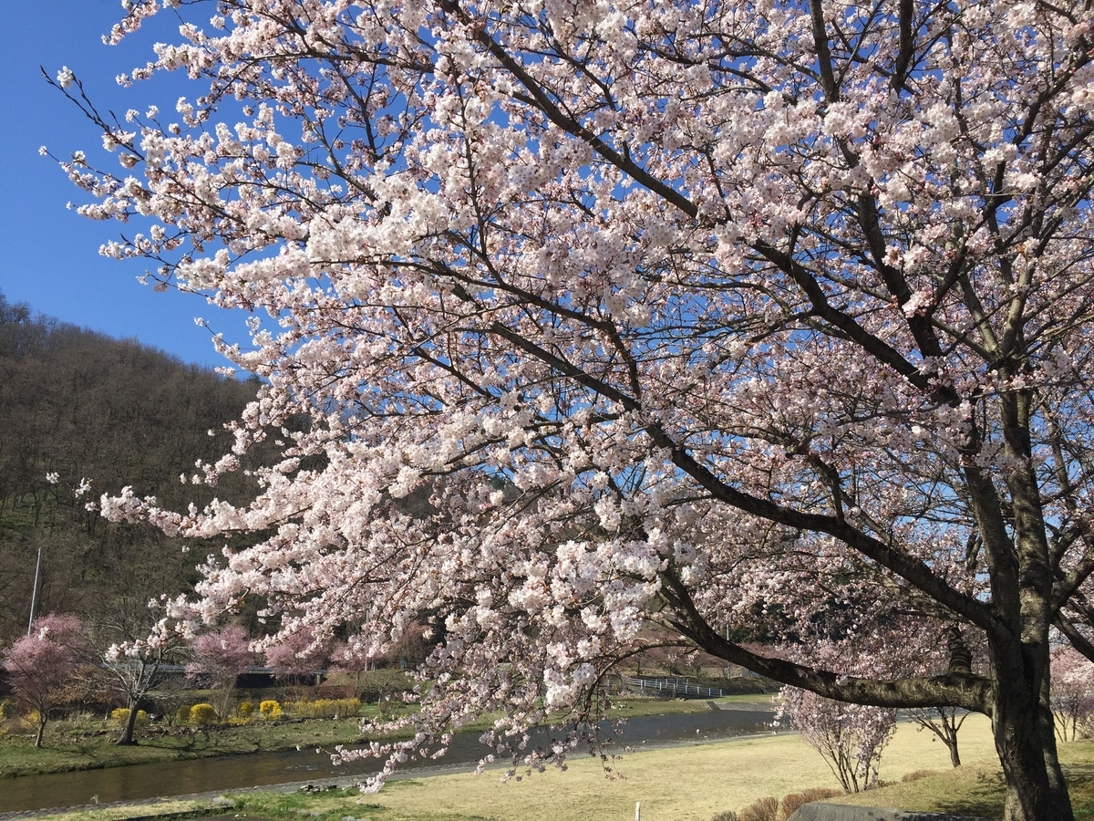 f:id:nge0068:20190419102329j:plain f:id:nge0068:20190419102329j:plain