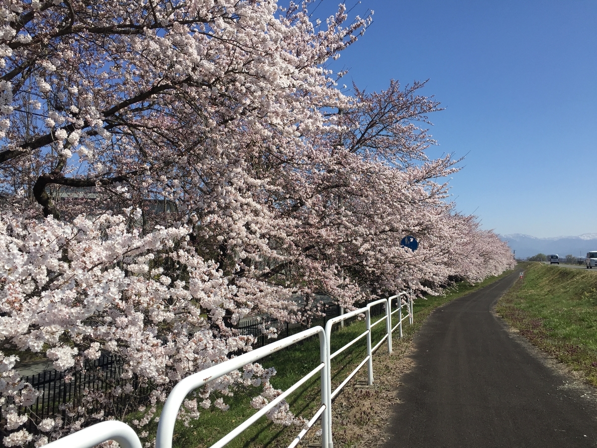 f:id:nge0068:20190419124833j:plain f:id:nge0068:20190419124833j:plain