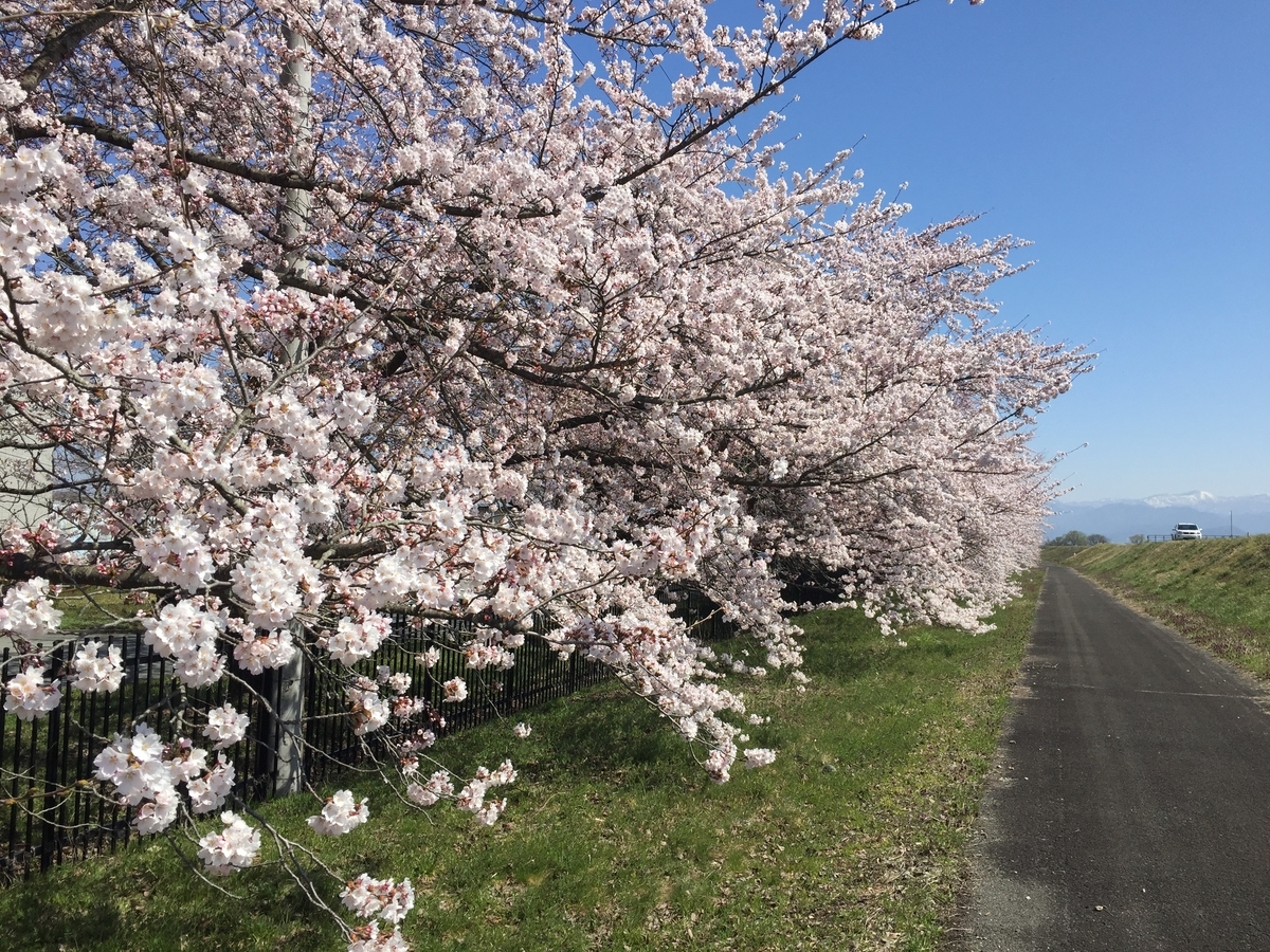 f:id:nge0068:20190419124906j:plain f:id:nge0068:20190419124906j:plain