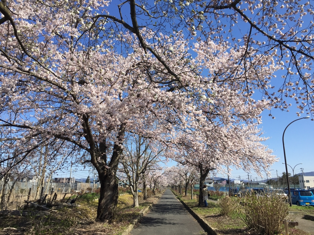 f:id:nge0068:20190421123250j:plain