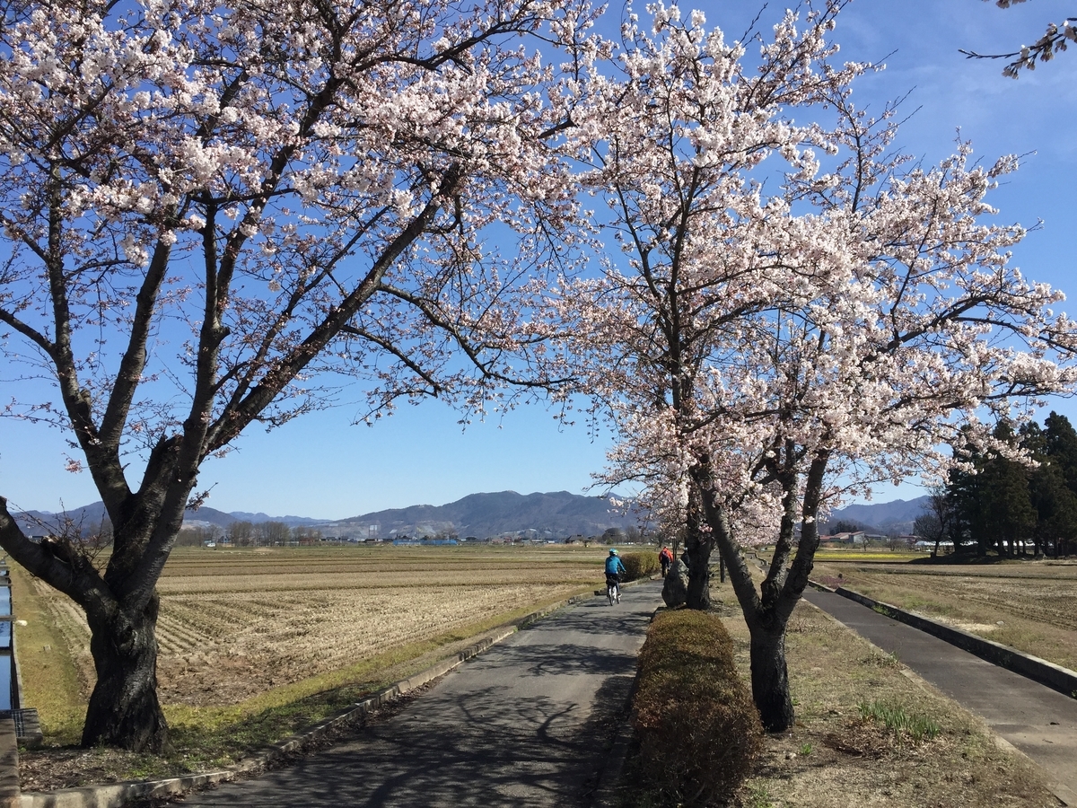 f:id:nge0068:20190421123431j:plain