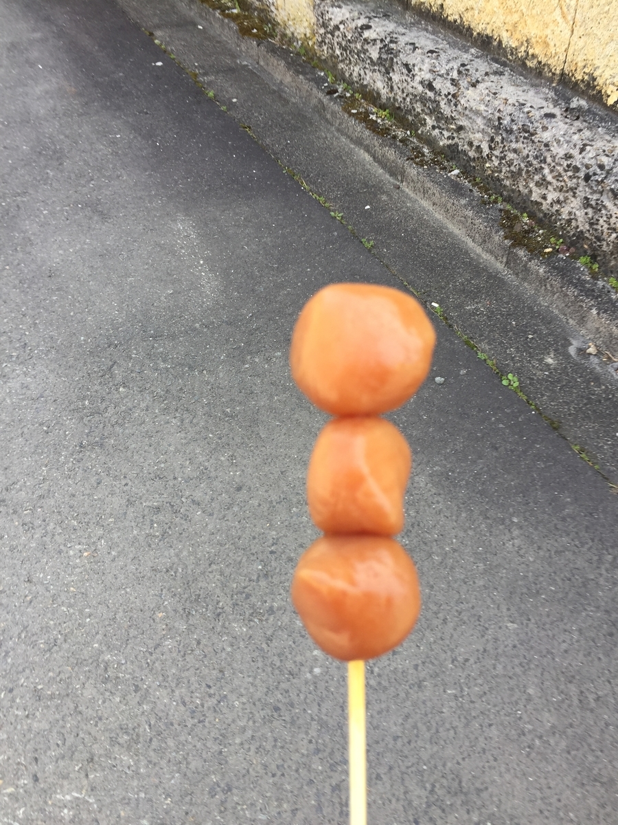 f:id:nge0068:20190421124700j:plain