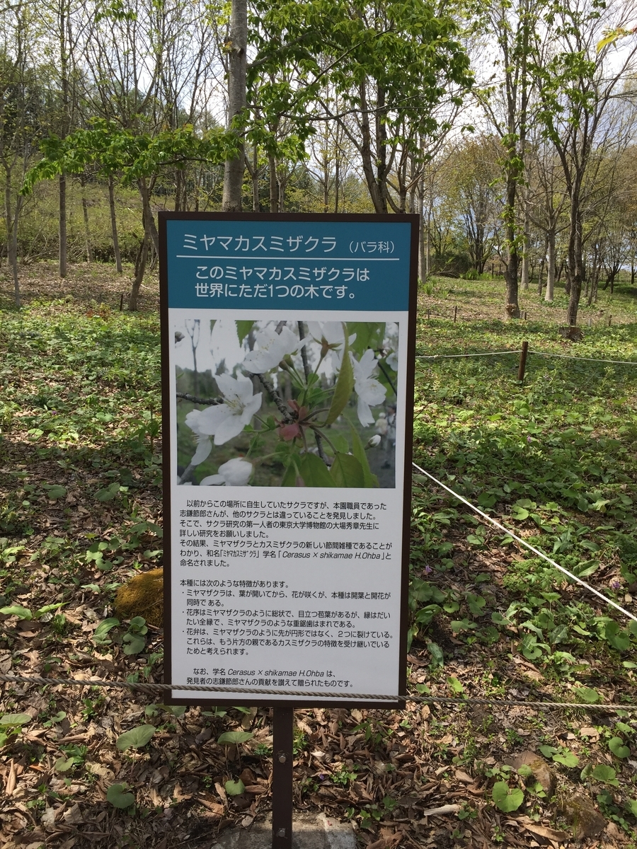 f:id:nge0068:20190508095323j:plain f:id:nge0068:20190508095323j:plain