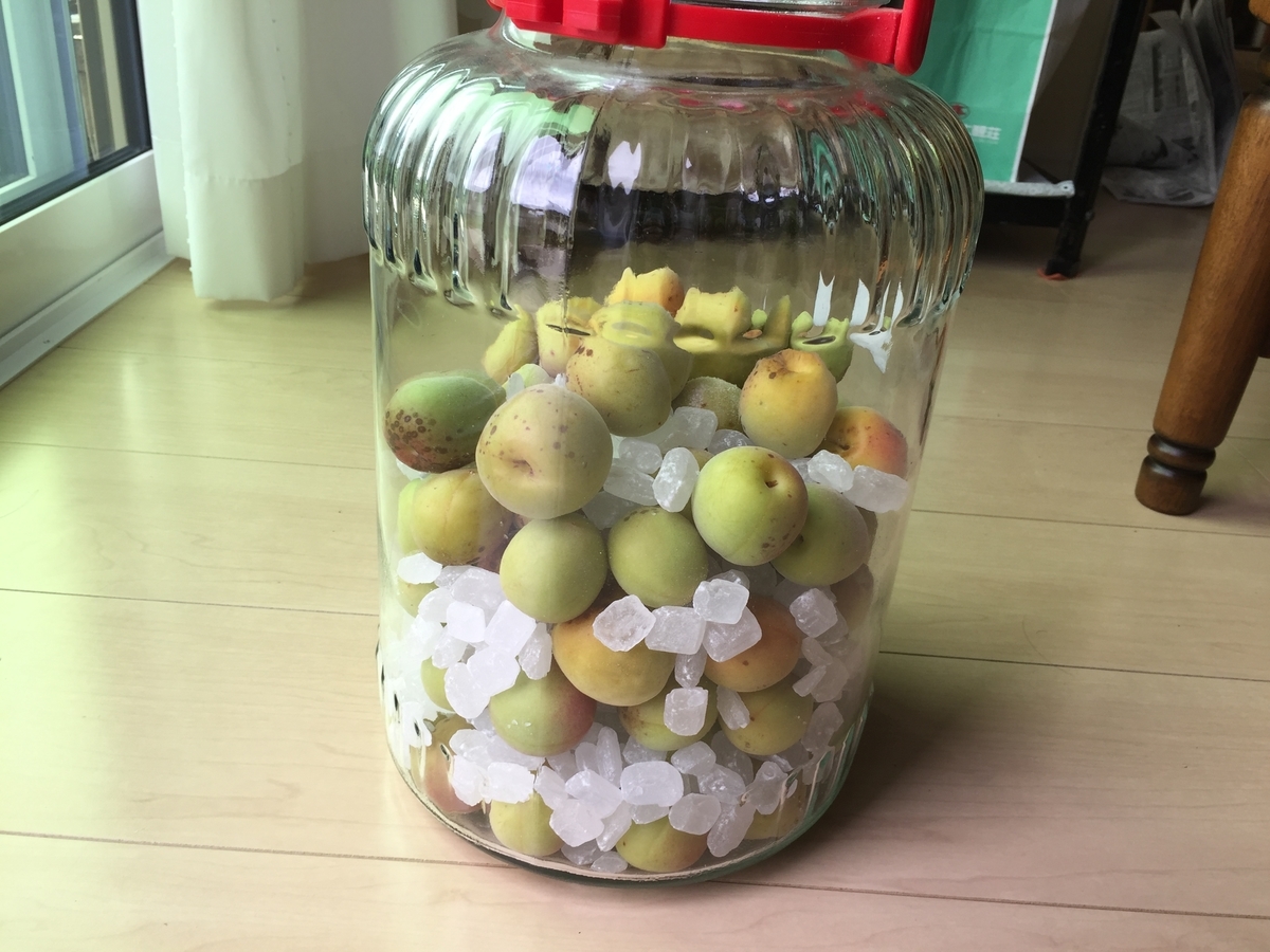 f:id:nge0068:20190706115502j:plain f:id:nge0068:20190706115502j:plain