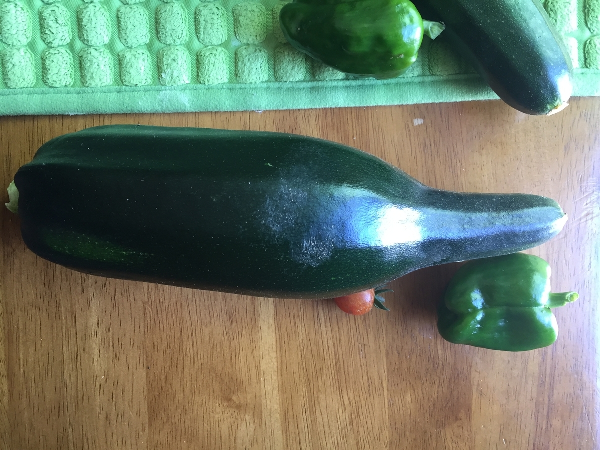 f:id:nge0068:20190714061515j:plain f:id:nge0068:20190714061515j:plain