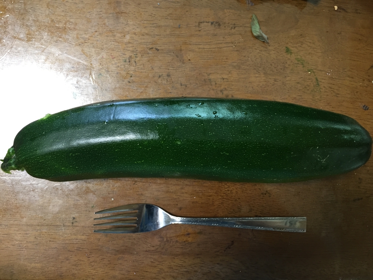 f:id:nge0068:20190714194413j:plain f:id:nge0068:20190714194413j:plain