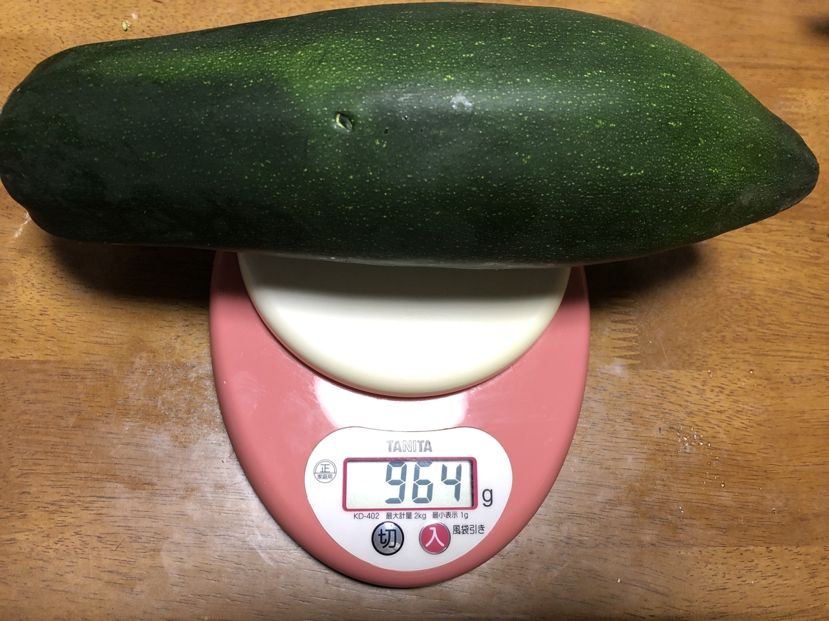 f:id:nge0068:20190714204311j:plain f:id:nge0068:20190714204311j:plain