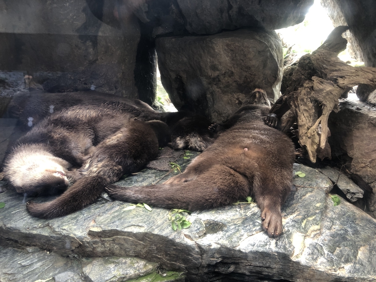 f:id:nge0068:20190826102328j:plain