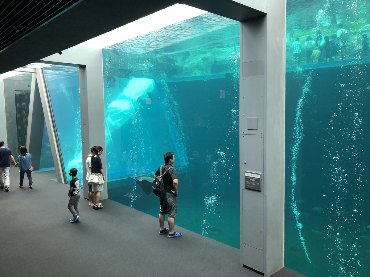 f:id:nge0068:20190828160654j:plain