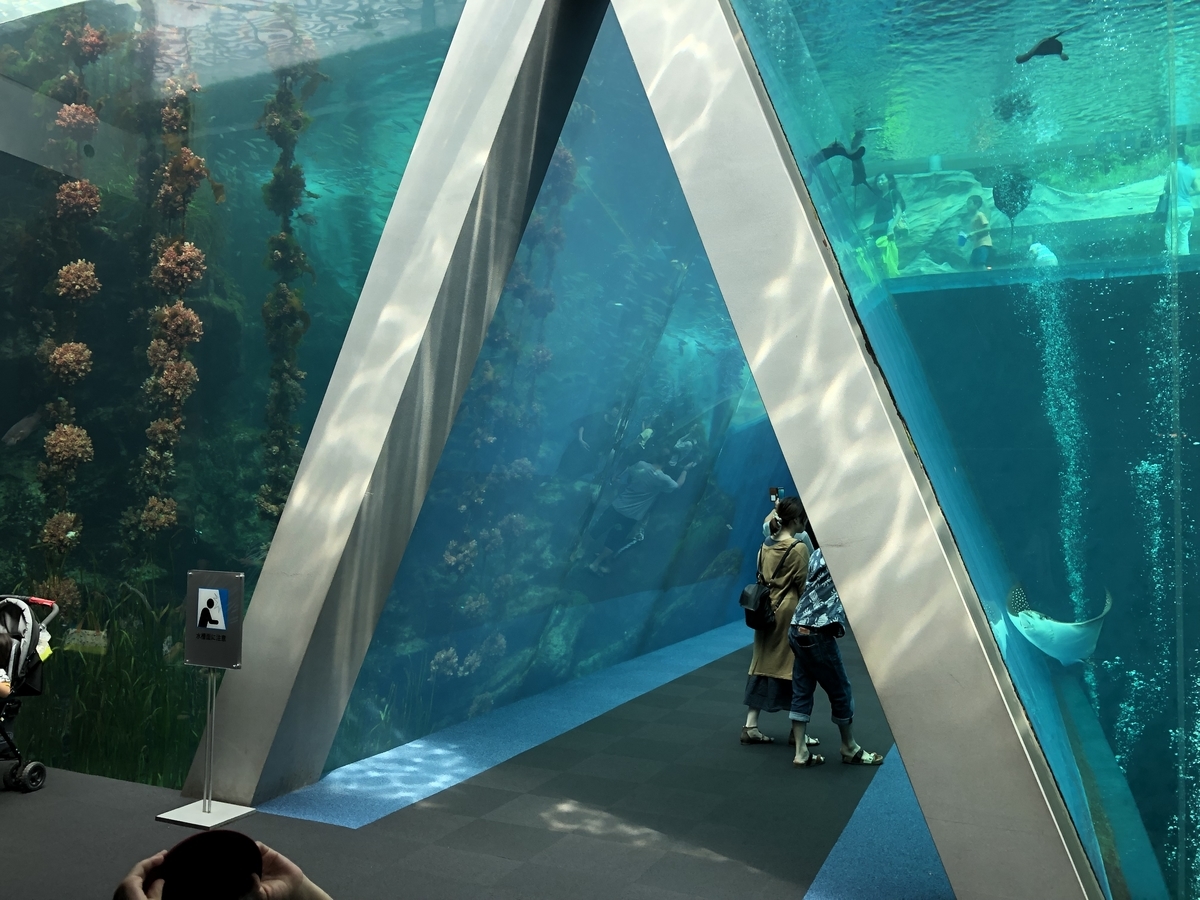 f:id:nge0068:20190830130415j:plain