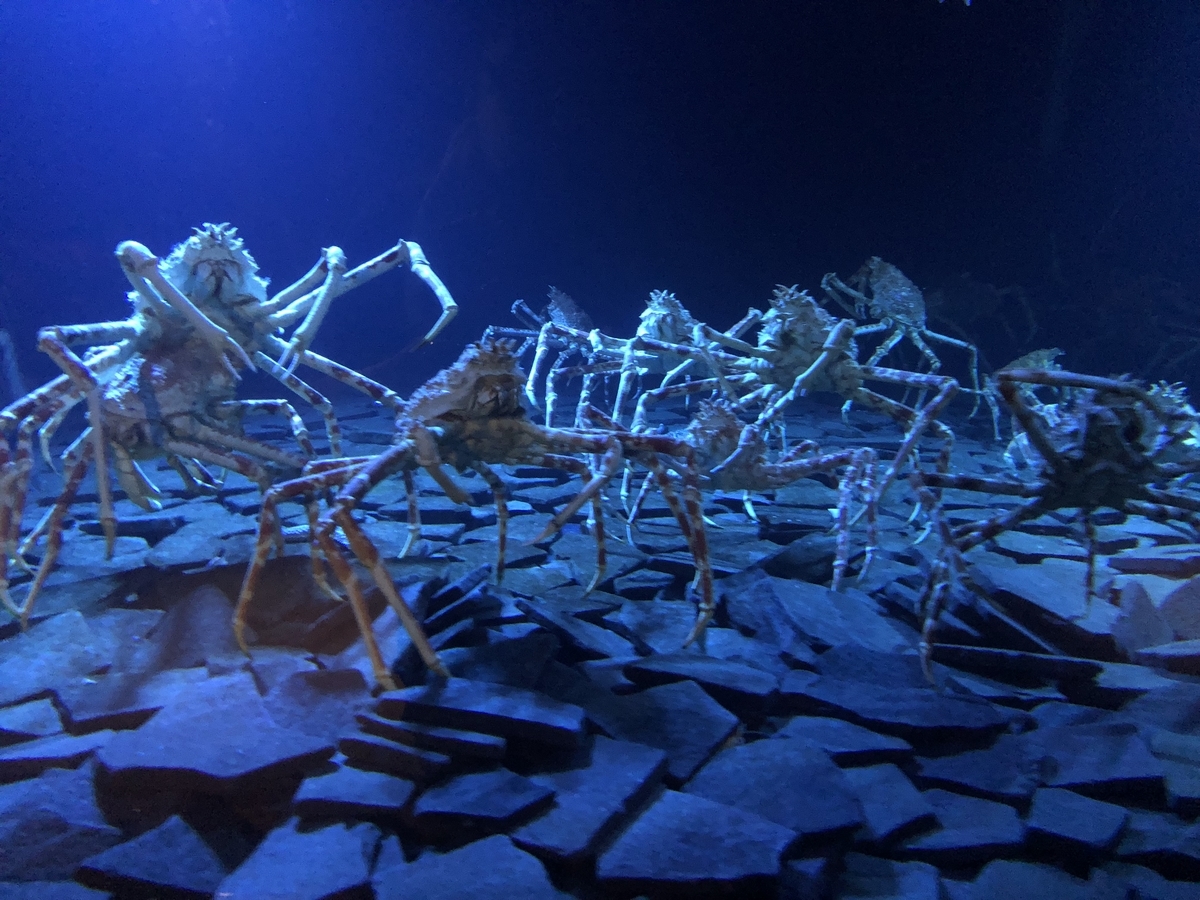 f:id:nge0068:20190830154213j:plain