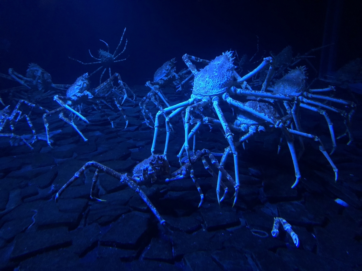 f:id:nge0068:20190830154345j:plain