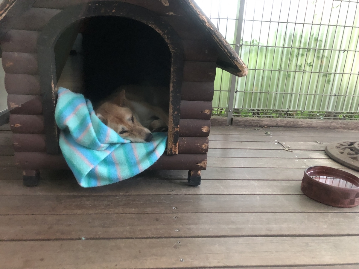 f:id:nge0068:20190830154451j:plain