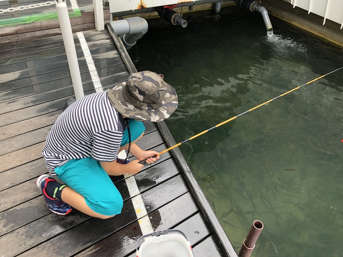 f:id:nge0068:20190830155540j:plain