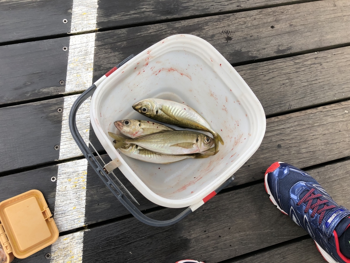 f:id:nge0068:20190830155700j:plain