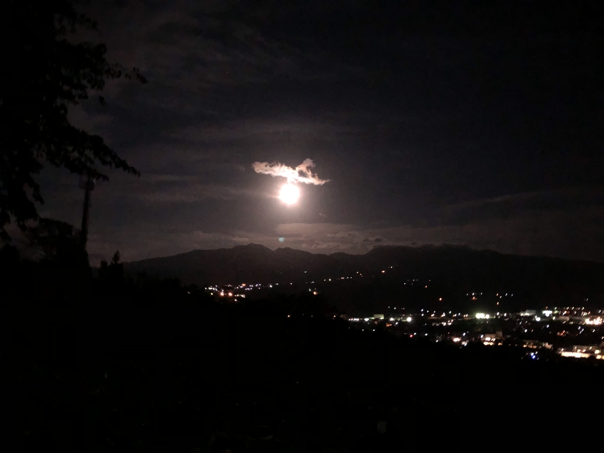 f:id:nge0068:20191017101910j:plain f:id:nge0068:20191017101910j:plain