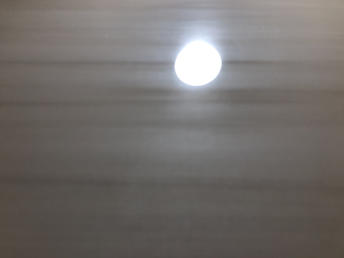 f:id:nge0068:20191216100523j:plain