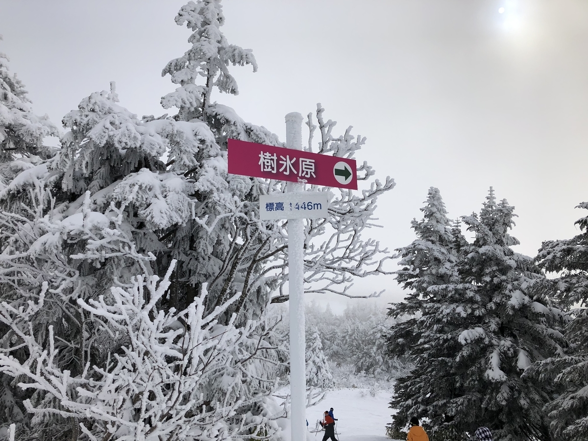 f:id:nge0068:20200113172041j:plain