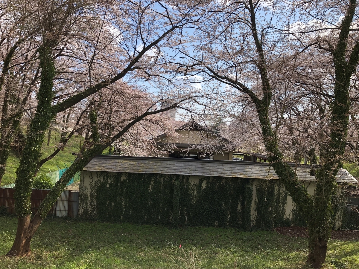 f:id:nge0068:20200410204318j:plain