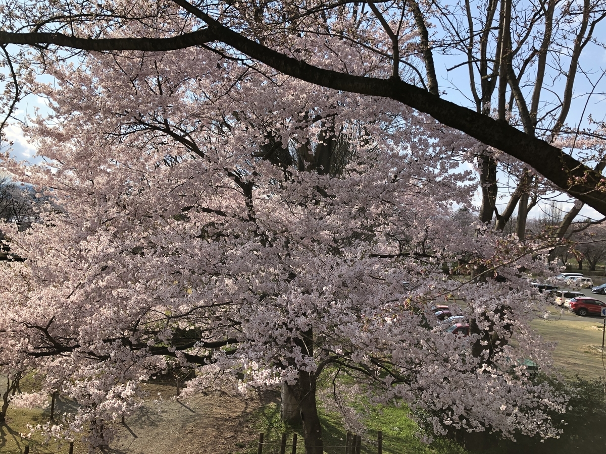 f:id:nge0068:20200410204456j:plain