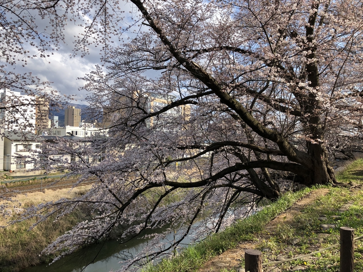 f:id:nge0068:20200410204805j:plain