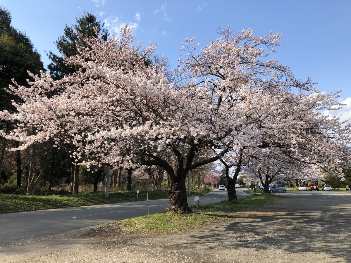 f:id:nge0068:20200410205800j:plain