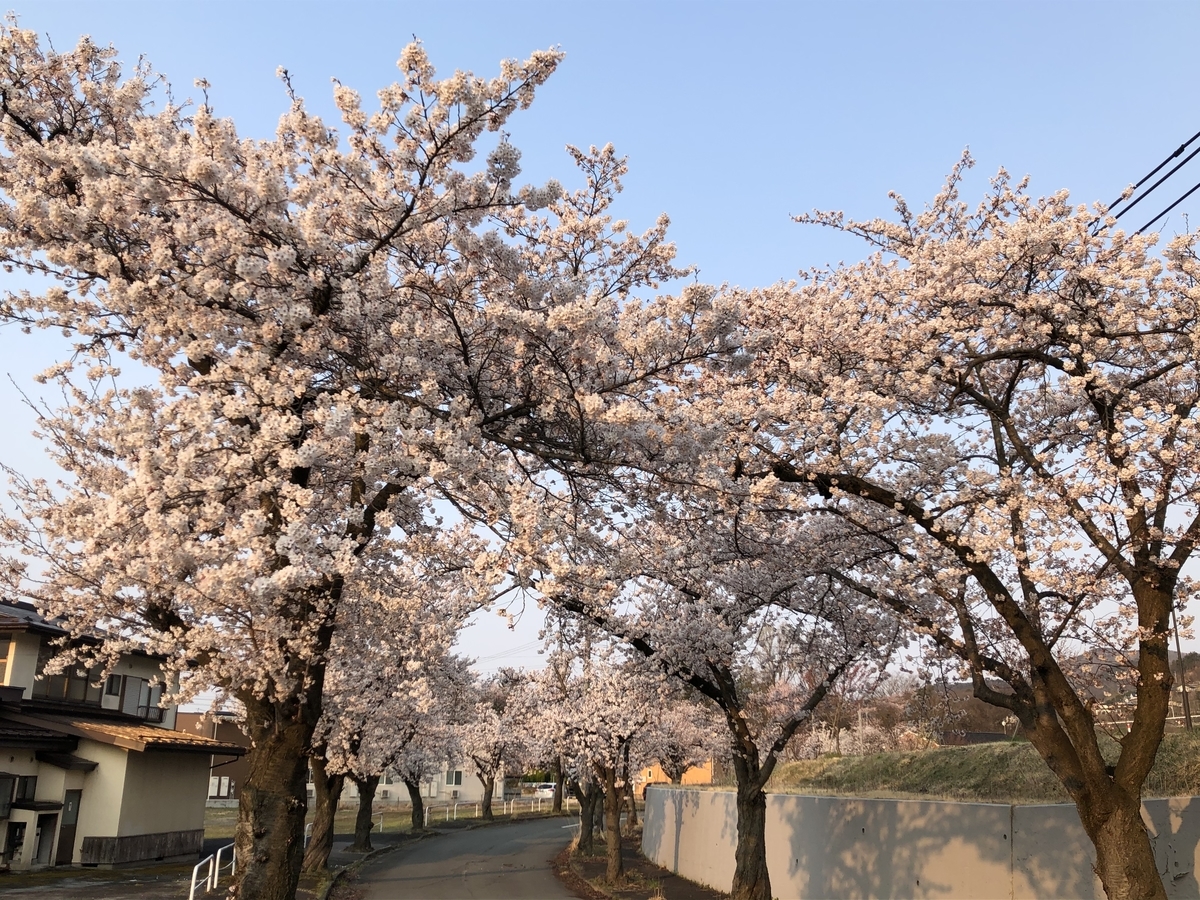 f:id:nge0068:20200419084220j:plain