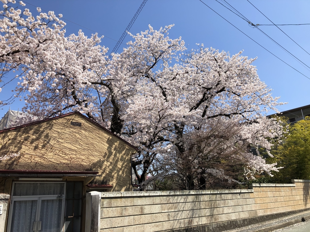 f:id:nge0068:20200419084431j:plain