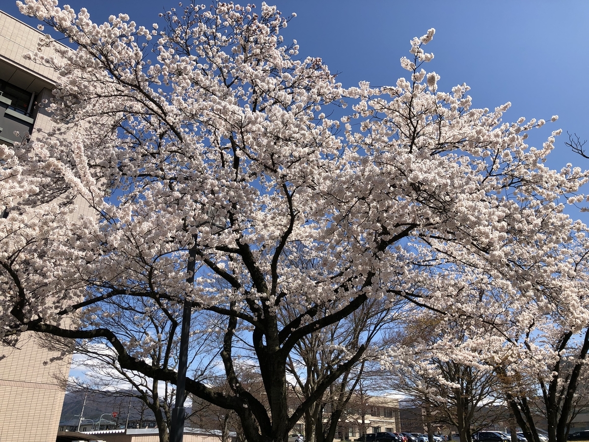 f:id:nge0068:20200419085200j:plain