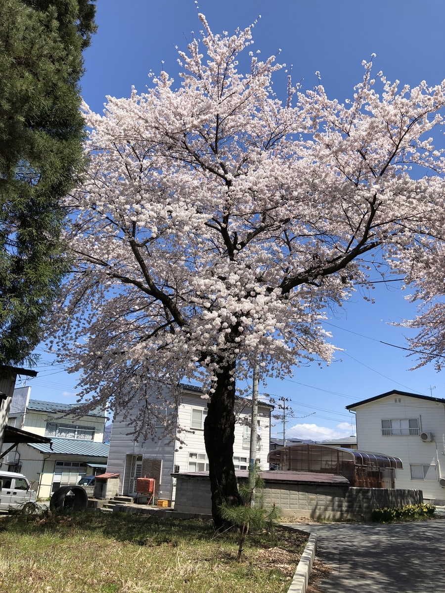 f:id:nge0068:20200419085855j:plain